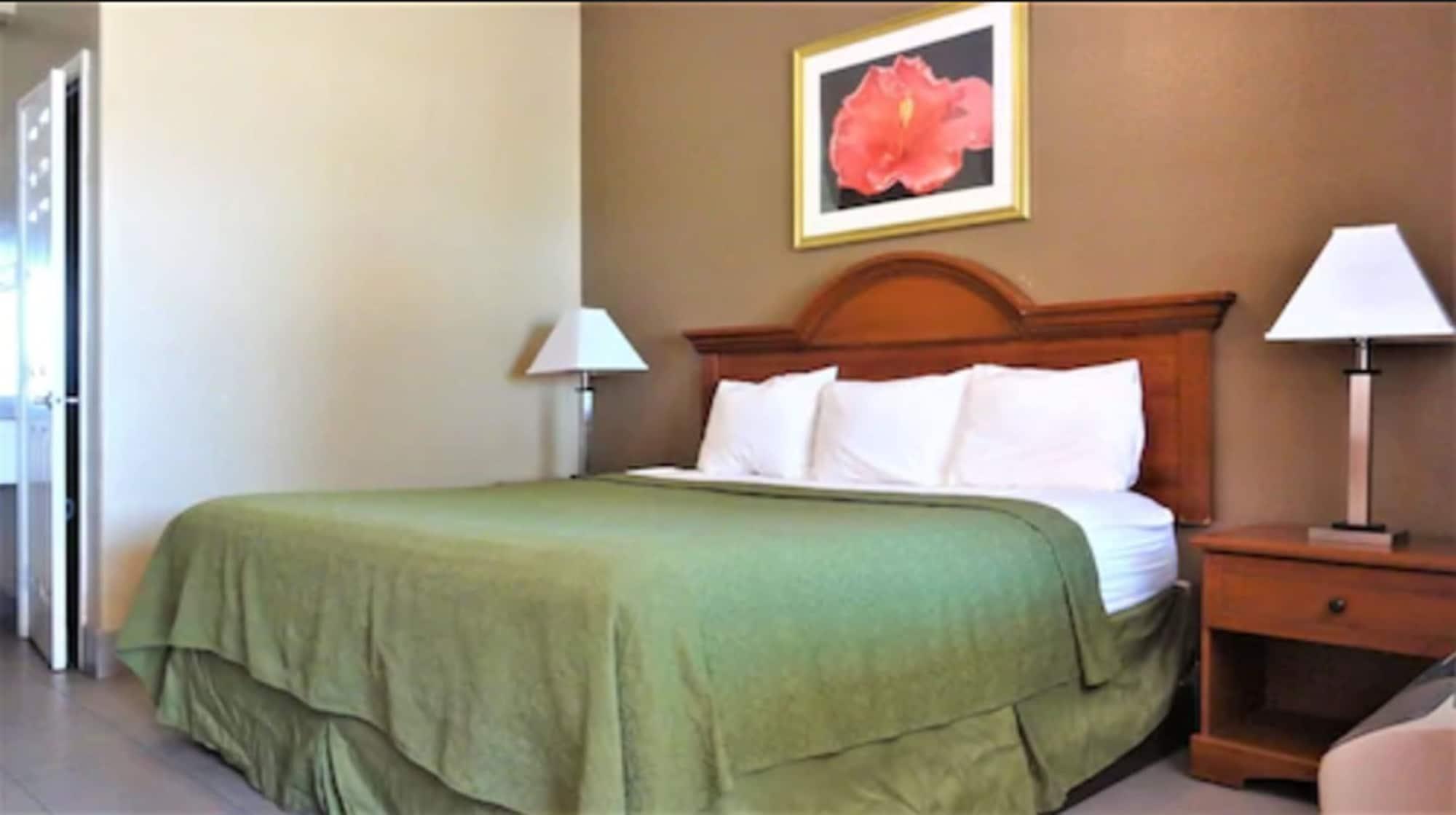 La Copa Inn McAllen Eksteriør billede